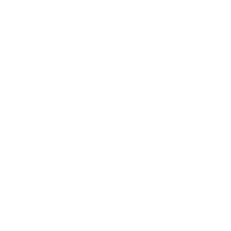 language