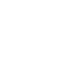 scale-business